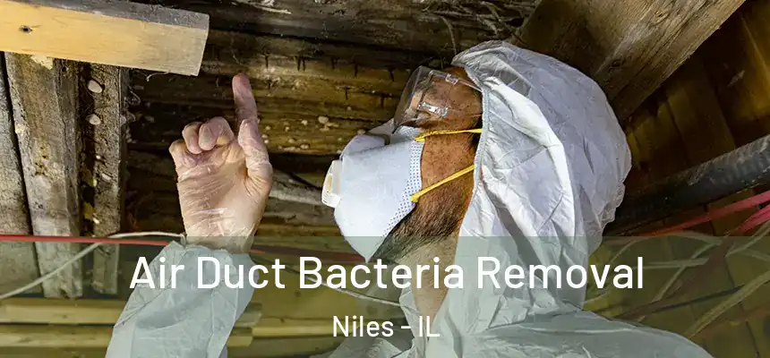  Air Duct Bacteria Removal Niles - IL