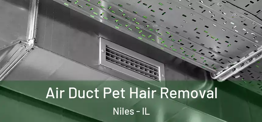 Air Duct Pet Hair Removal Niles - IL