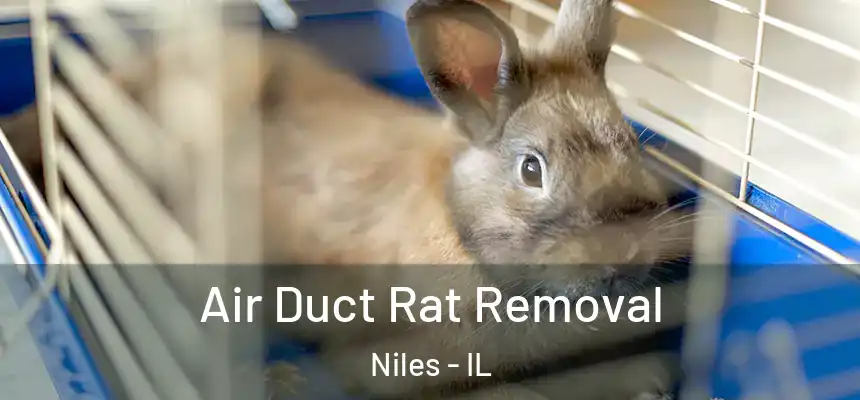  Air Duct Rat Removal Niles - IL