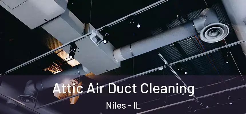  Attic Air Duct Cleaning Niles - IL