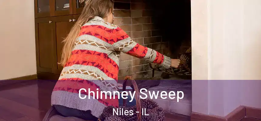 Chimney Sweep Niles - IL
