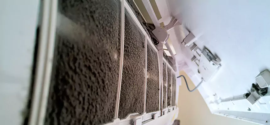 Preventive Air Duct Bacteria Removal in Niles