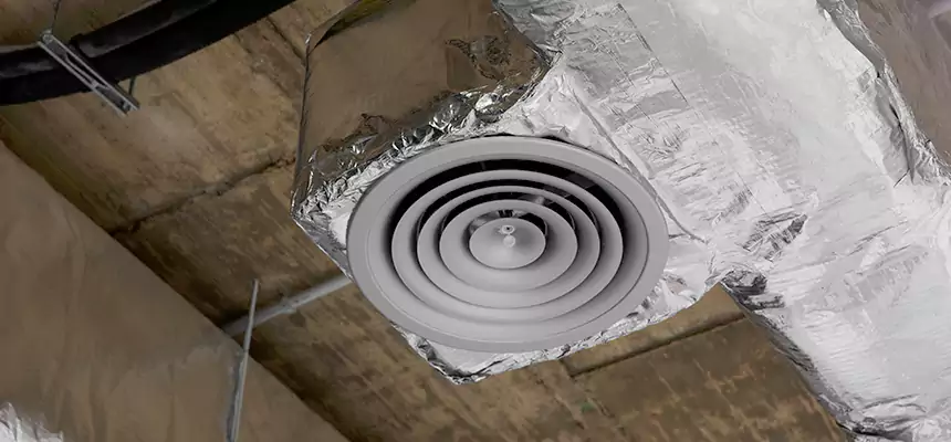 Our Excess Lint Removal from Dryer Ducts Services in Niles, IL