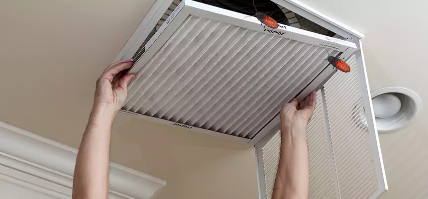 Our Insect Removal from Air Ducts Services in Niles, IL