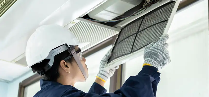 Our Lint Trap Cleaning Service Services in Niles, IL