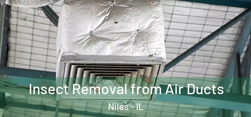  Insect Removal from Air Ducts Niles - IL