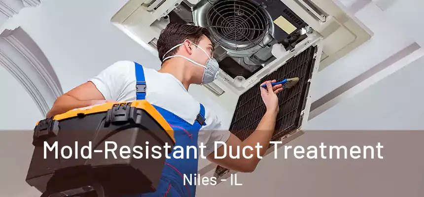 Mold-Resistant Duct Treatment Niles - IL