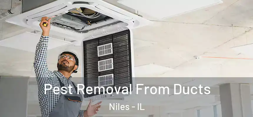  Pest Removal From Ducts Niles - IL