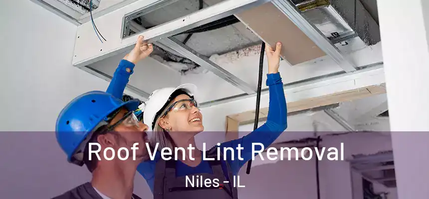 Roof Vent Lint Removal Niles - IL