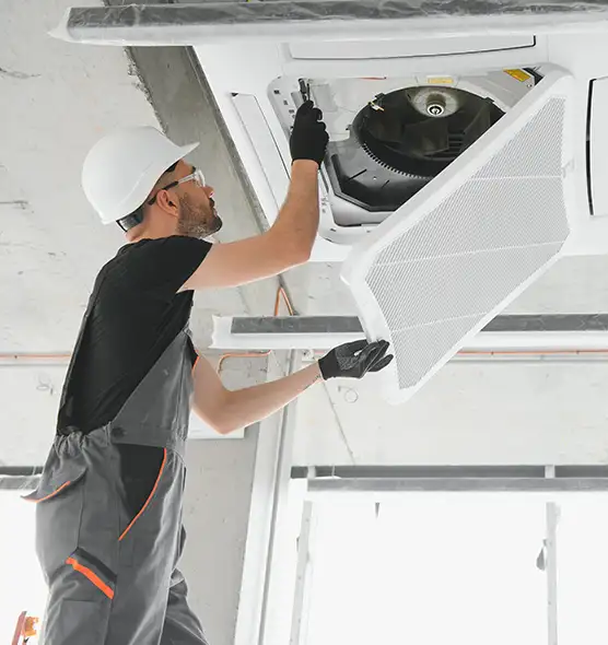 About Air Duct Rodent Removal in Niles, IL