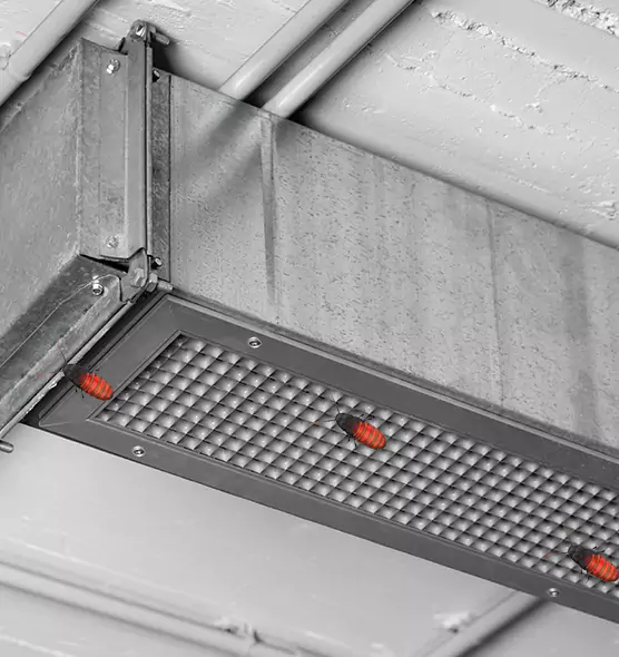 Affordable Insect Removal from Air Ducts in Niles, IL