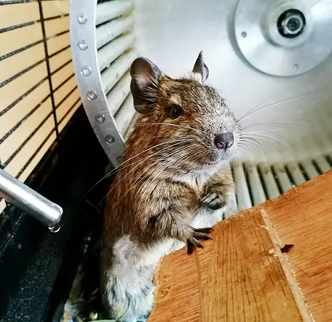 Why Homeowners & Businesses Trust Us Niles, IL