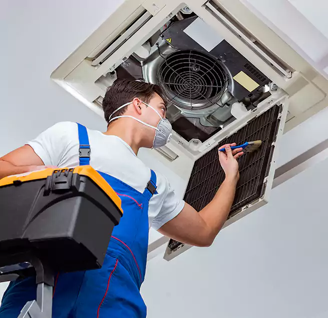 Why Homeowners & Businesses Trust Us in Niles, IL