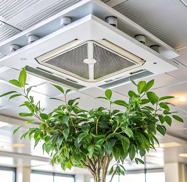 Why Homeowners & Businesses Trust Us in Niles, IL