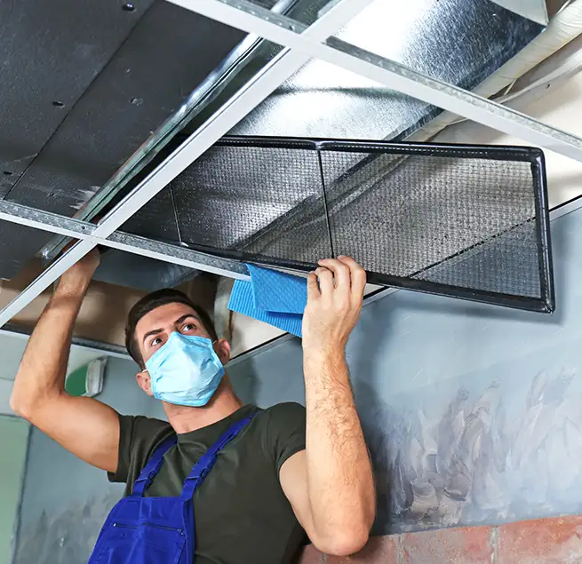 Why Homeowners & Businesses Trust Us in Niles, IL?